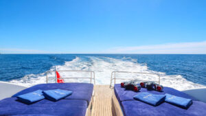 M/Y PURA VIDA for charter