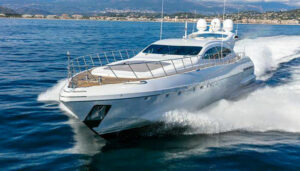 mangusta-108-01